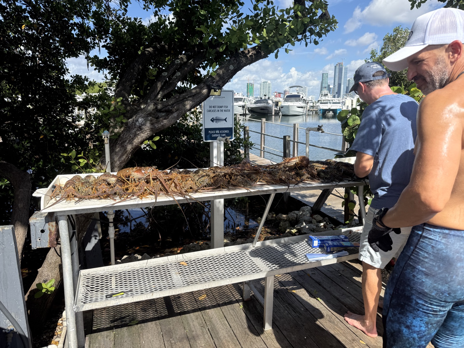 Lobster Mini Season in Florida: Why Key Biscayne Is the Smart Play